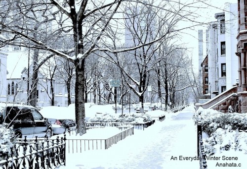 a winter scene on a street