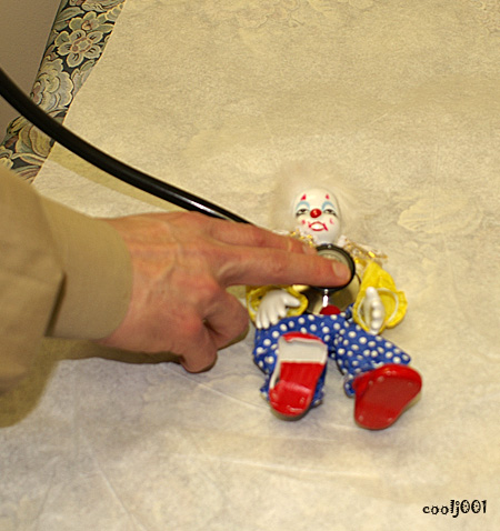 file_312242.jpg
