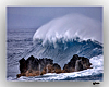 file_333549.jpg