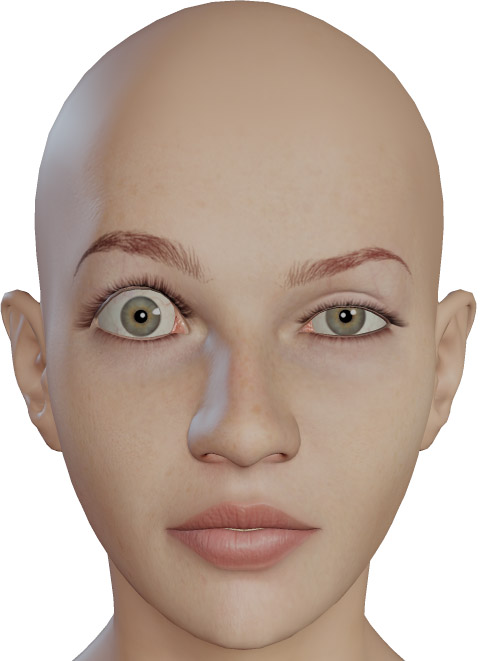 file_437830.jpg