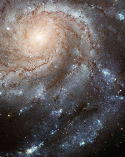 file_447489.jpg