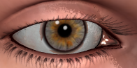 file_448973.png