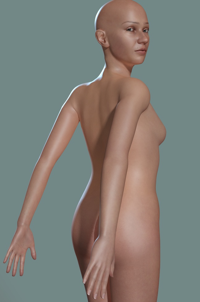 file_455504.jpg