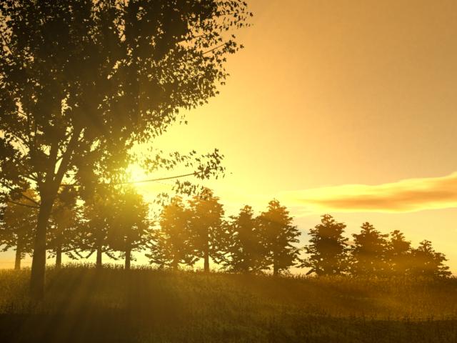 file_458640.jpg