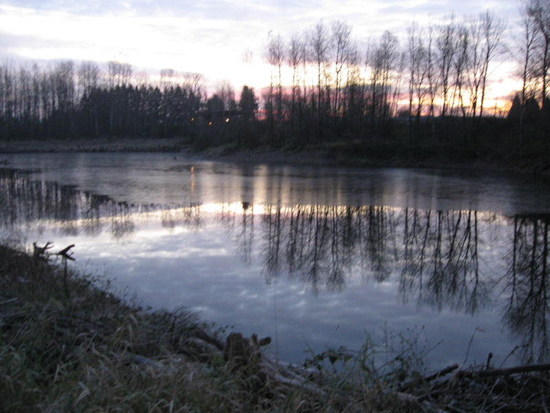 file_489054.jpg