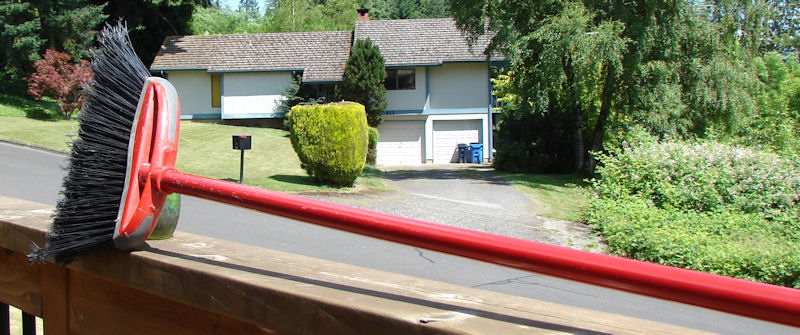 file_495141.JPG