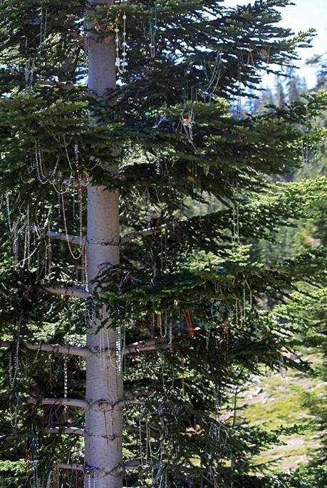 file_42a0e188f5033bc65bf8d78622277c4e.jp