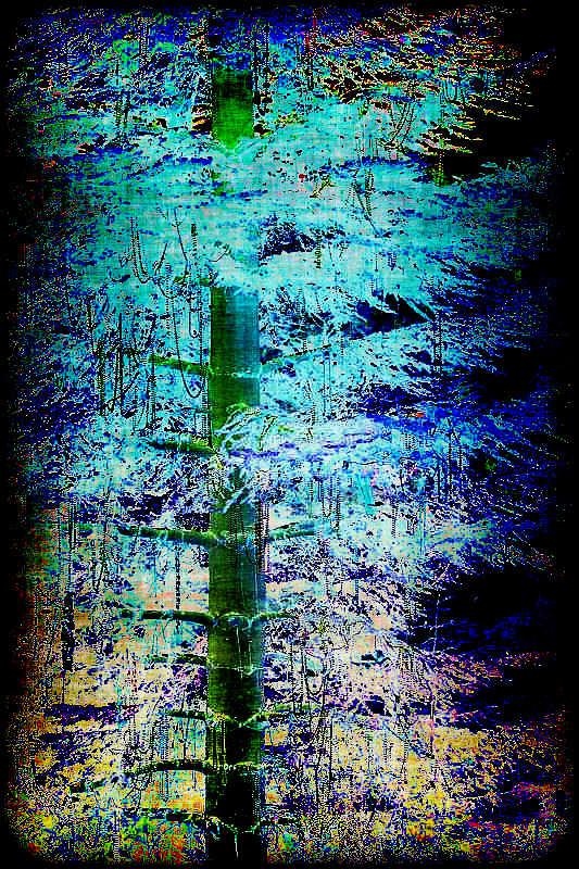 file_65b9eea6e1cc6bb9f0cd2a47751a186f.jp