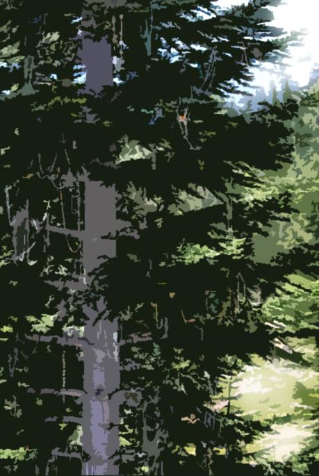 file_3644a684f98ea8fe223c713b77189a77.jp