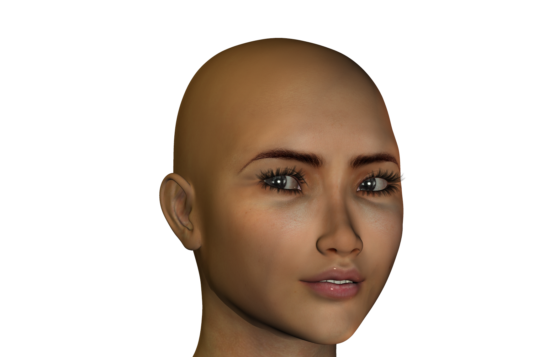 Render.png