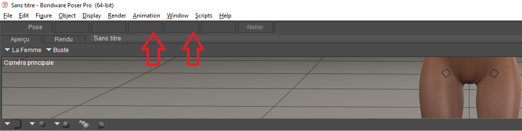 poser_run2.png