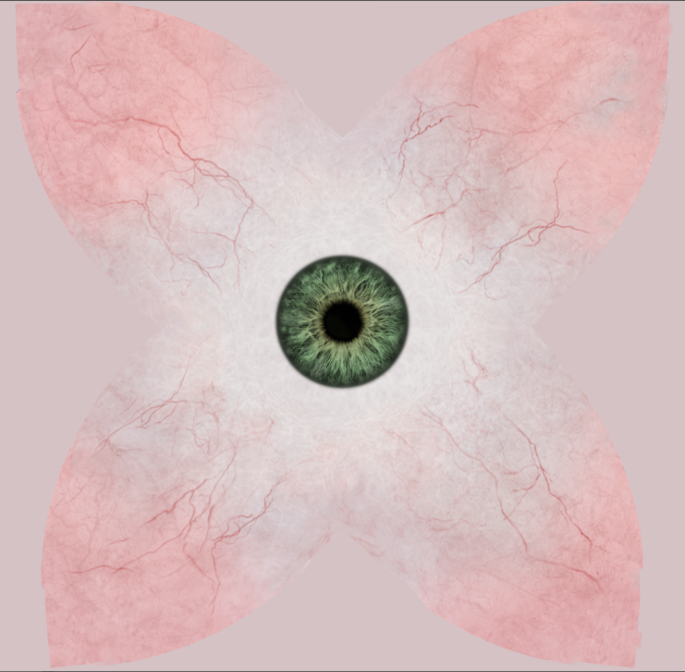 5asCPGMvTeuTlgySe7U4ztgBB633RPgVpQhZcu9F.png