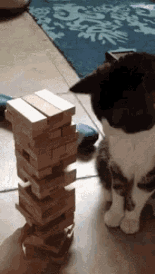 7FwPAebCpcbJ367EQCSwYrjrnFGCgte2qMO0yHxk.gif