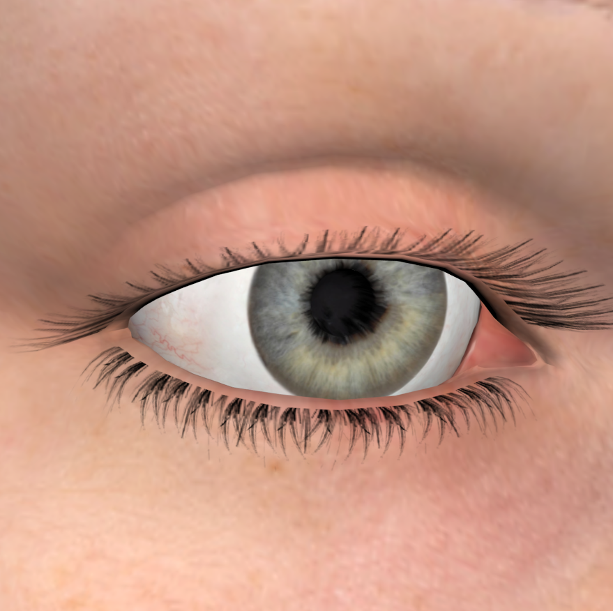 reLXNkQXrycUvYtPtdbOR5XDrzcu6sXCxoJlxKBT.png