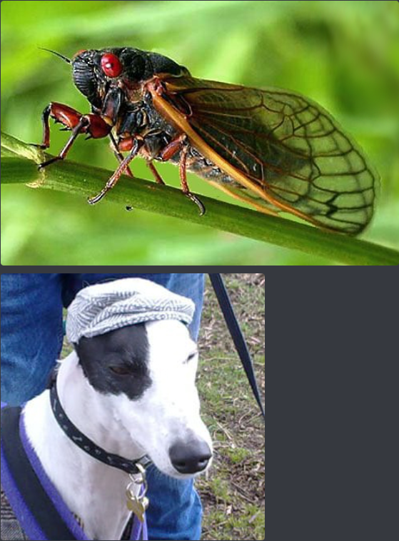 R7sdsnjkIMFmhE3bqzk0GMVCvAl8gmEkn17UfC8a.png