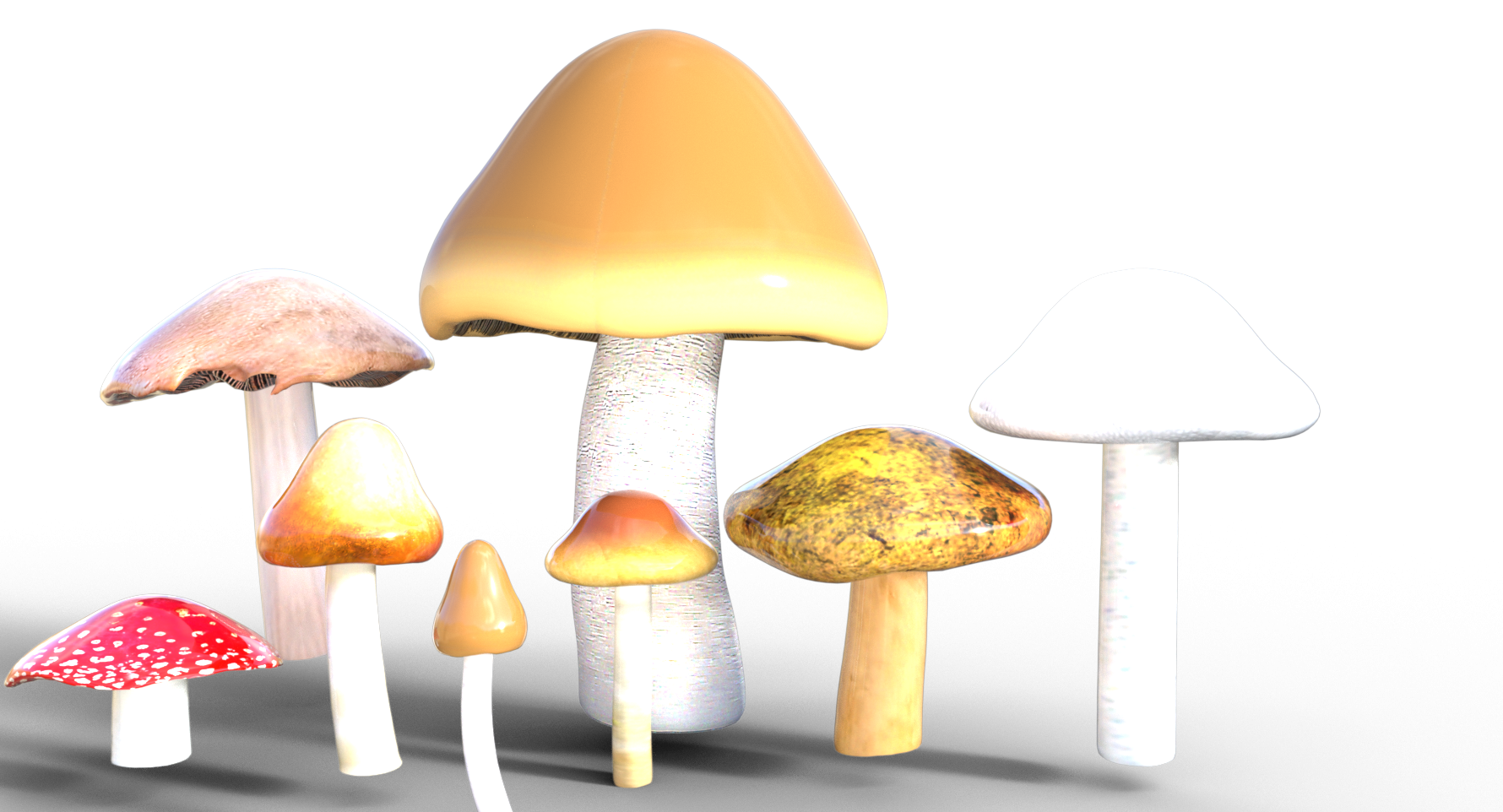 OWJvIR5vTSLN9JwTZvYHEKpHGSiBWiBqs4TdjAbx.png