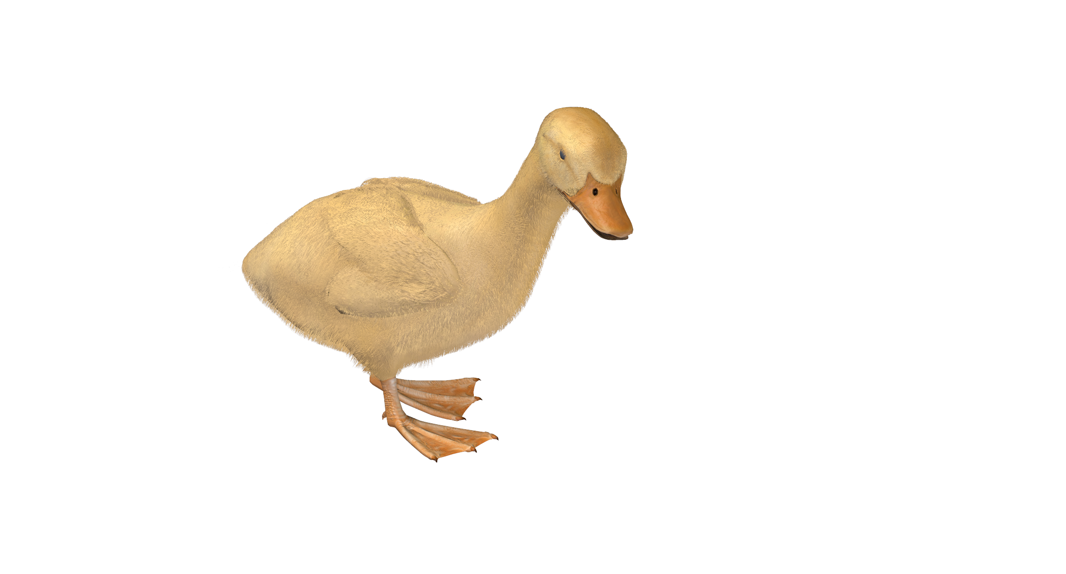 YuWHvM5vQbiTlLAIYar4ueqzzNsKagJ6HjIDPsP1.png