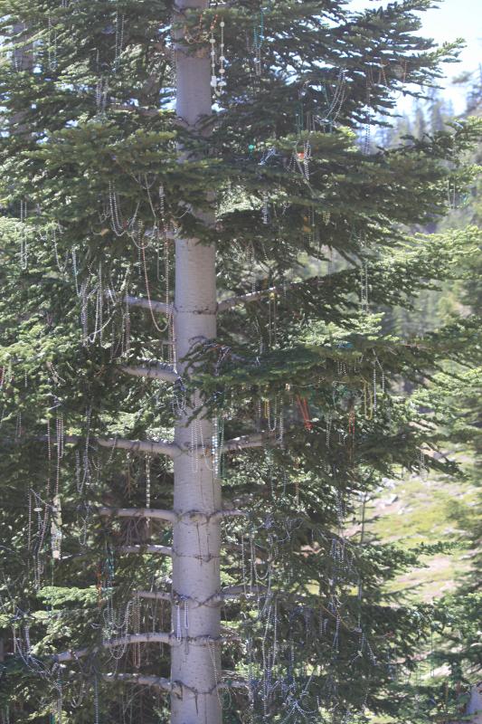 file_eecca5b6365d9607ee5a9d336962c534.JP