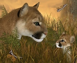 image.jpg