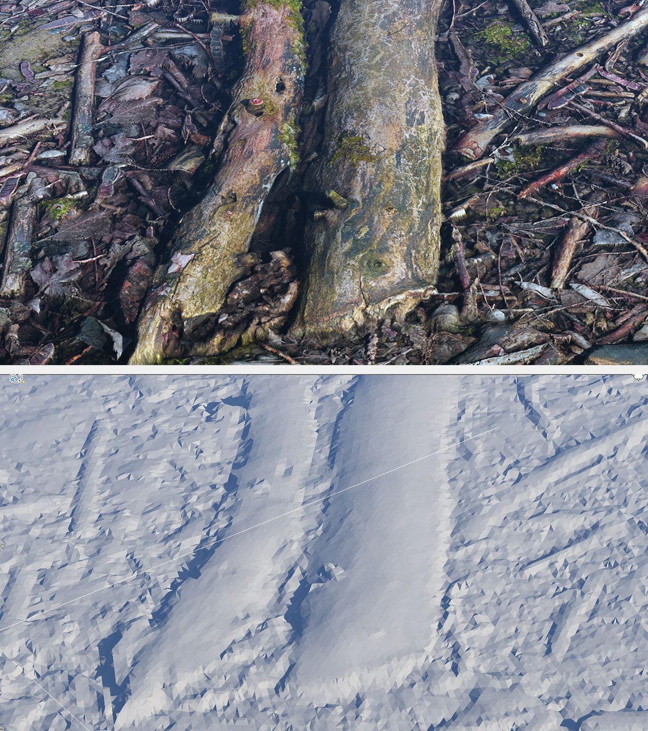 Forest 2_Clay.jpg