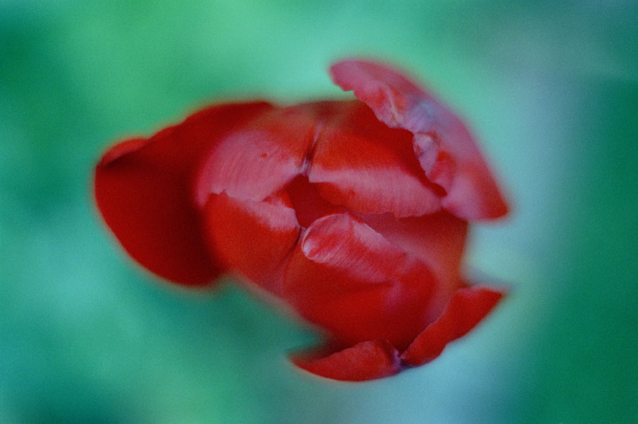 file_6365.jpg