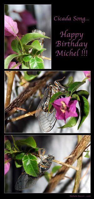 Happy Birthday Michel !!!! by nathalie06