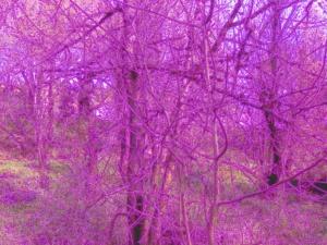 Entangled pt2 for RodS by Faemike55