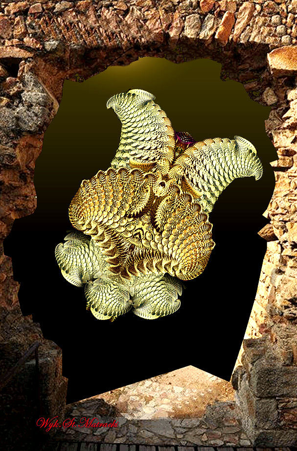 Presentation of fractal - of the turtle. by matstan2610