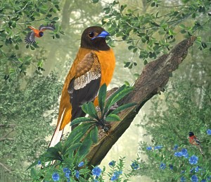 A Place to Call Home