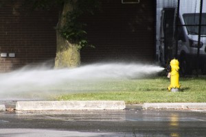 Fire Hydrant Leak by APlusDesign