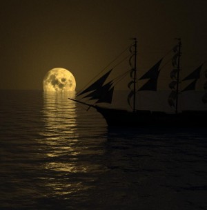 Moonlit Wonderland 2