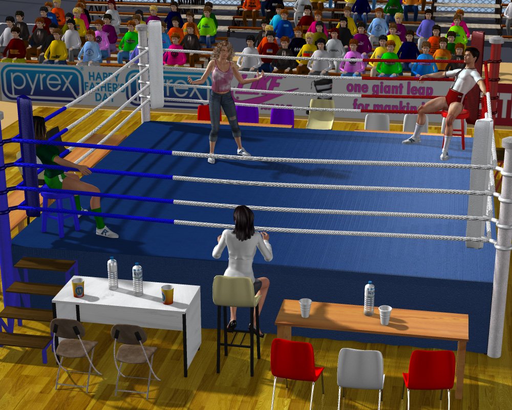 Stadium Boxing Ring Extended License 3D Models Extended Licenses