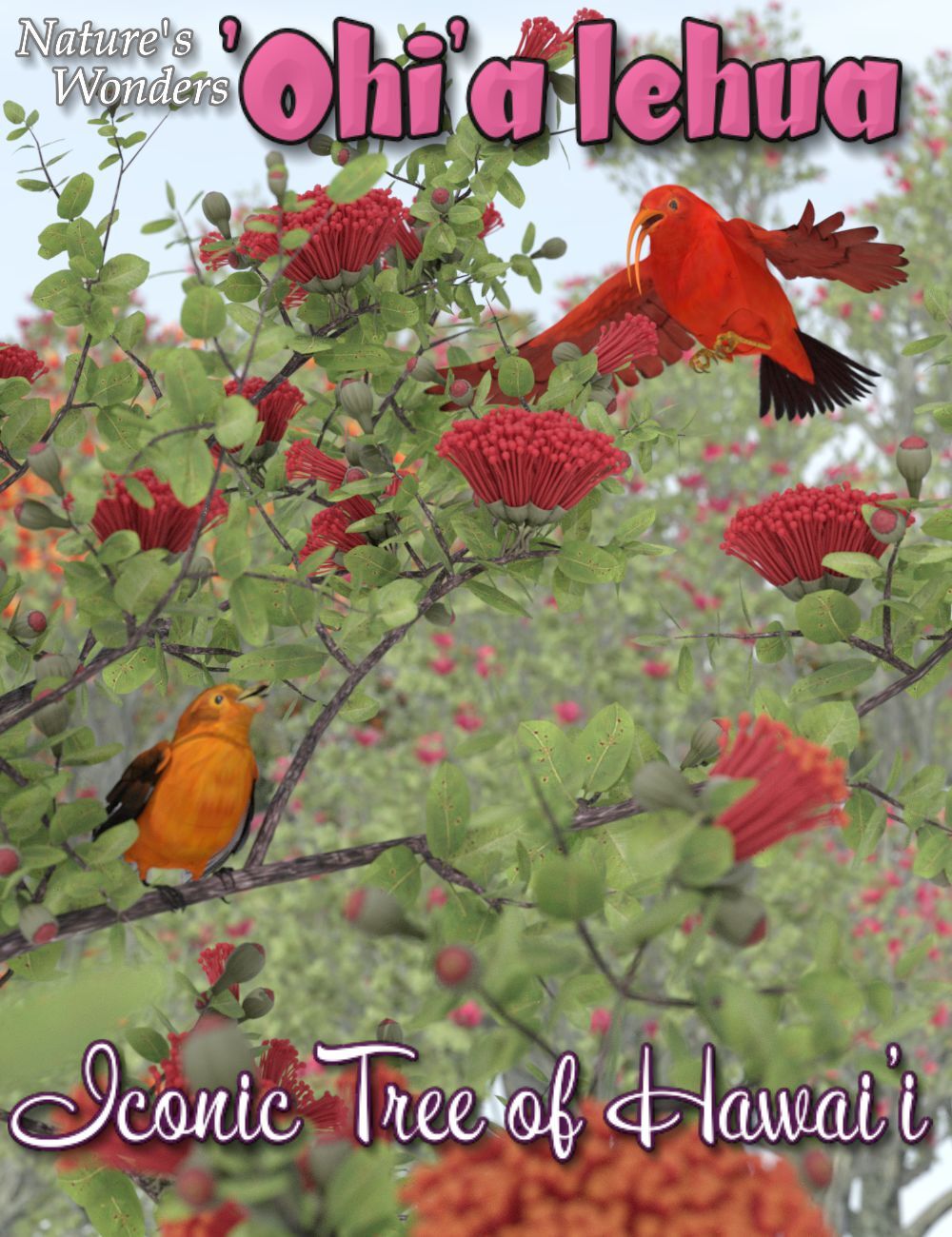 Nature's Wonders 'O'hia lehua by N/A