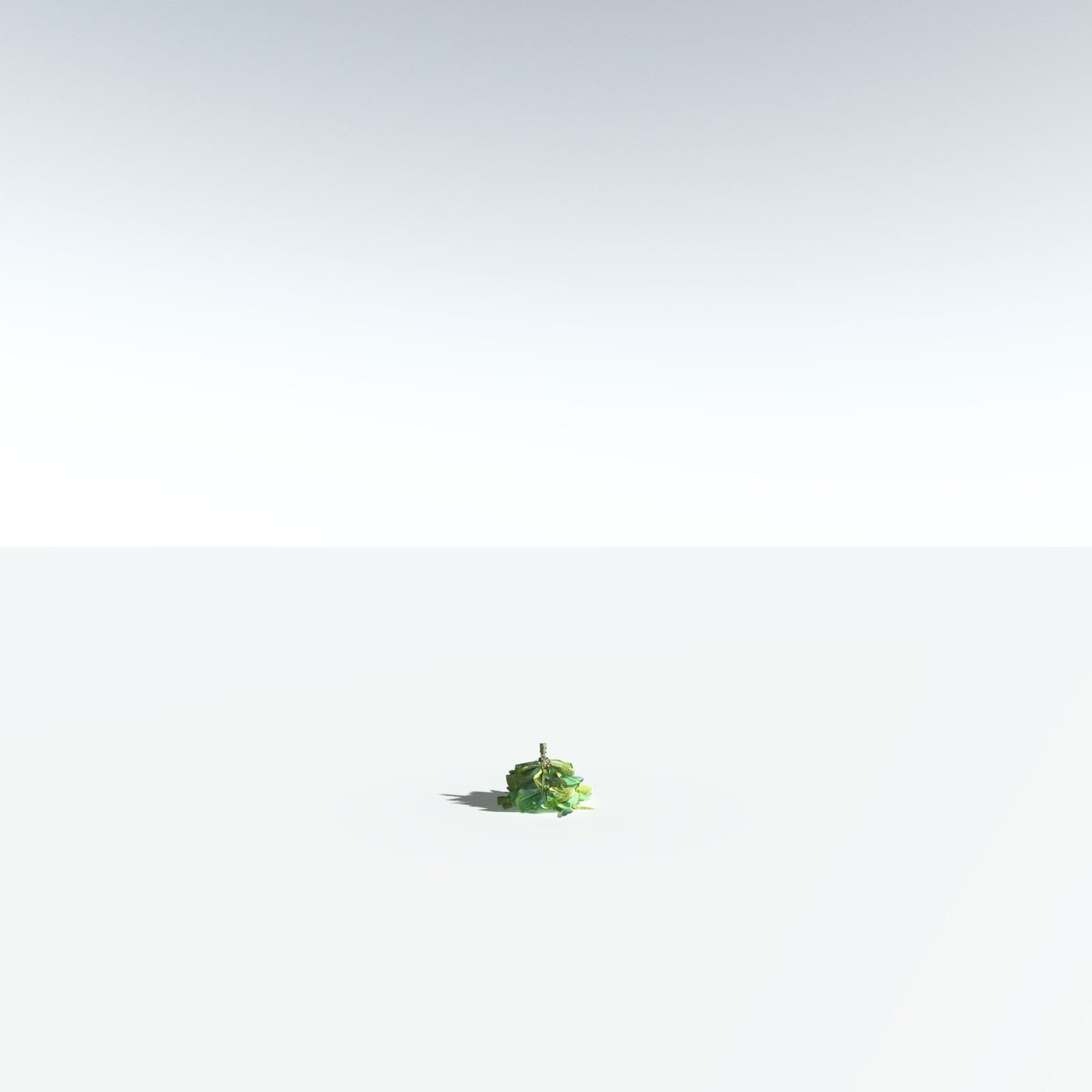EVERYPlant Beach Cabbage for Vue by N/A