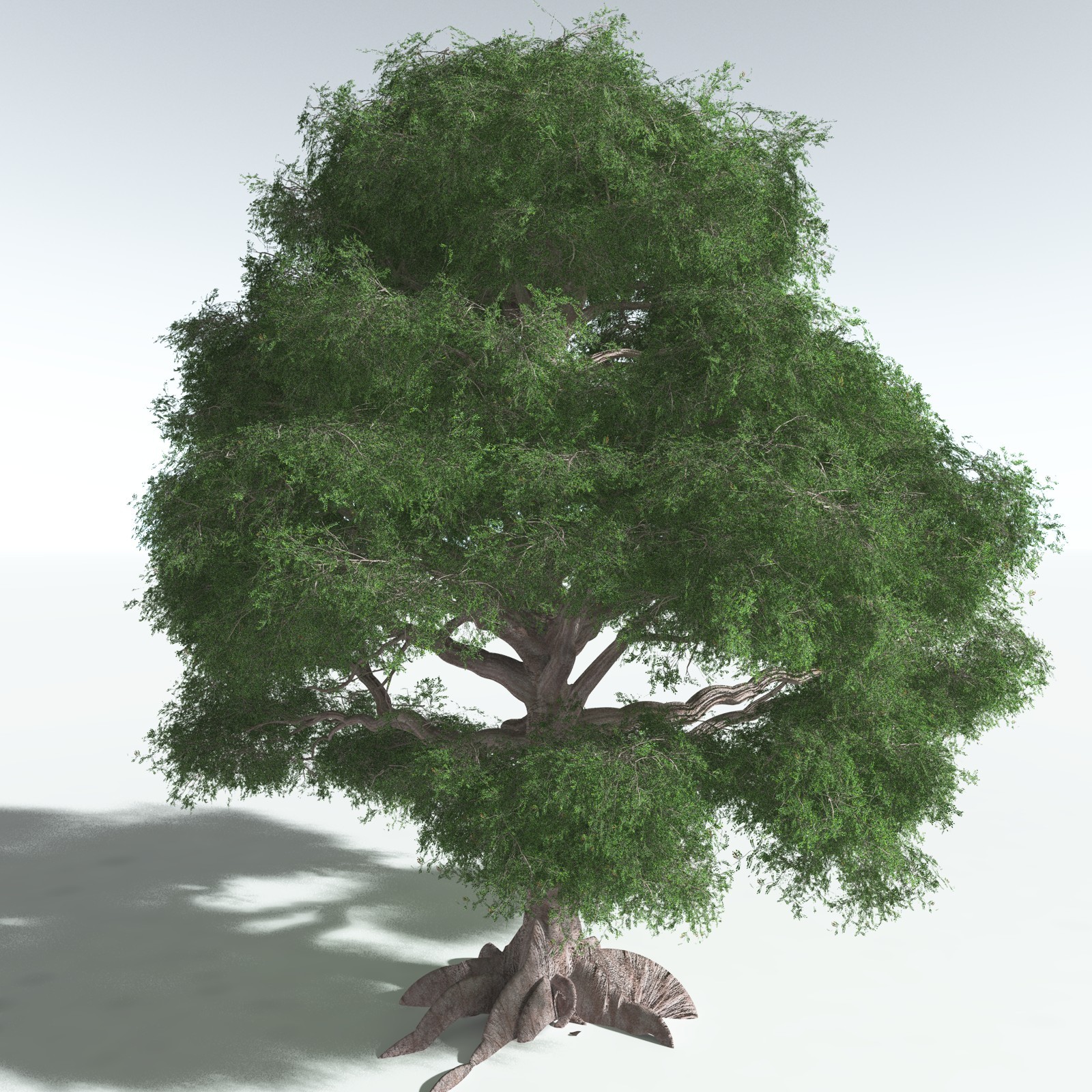 EVERYPlant Spur Mahogany for Vue by N/A