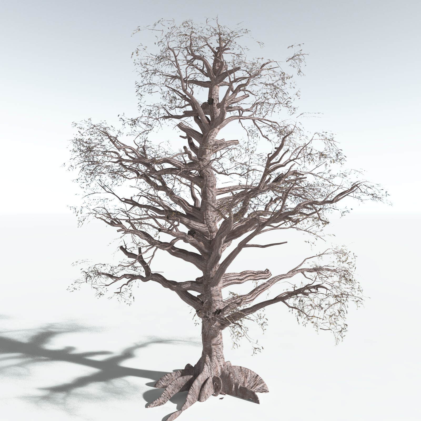 EVERYPlant Spur Mahogany for Vue by N/A