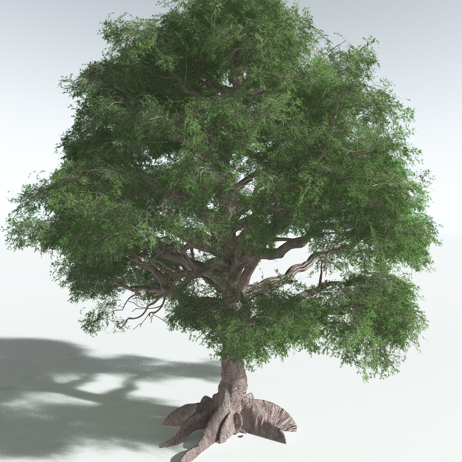 EVERYPlant Spur Mahogany for Vue by N/A