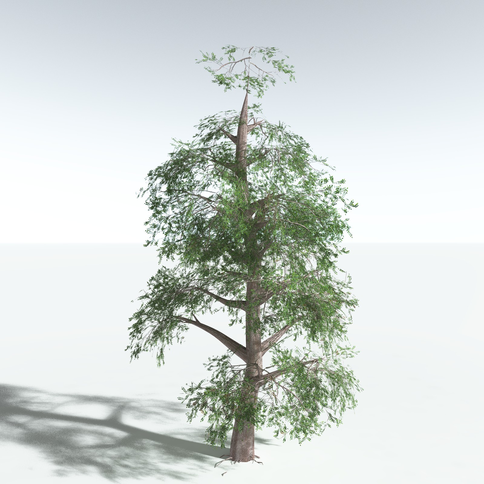 EVERYPlant Spur Mahogany for Vue by N/A
