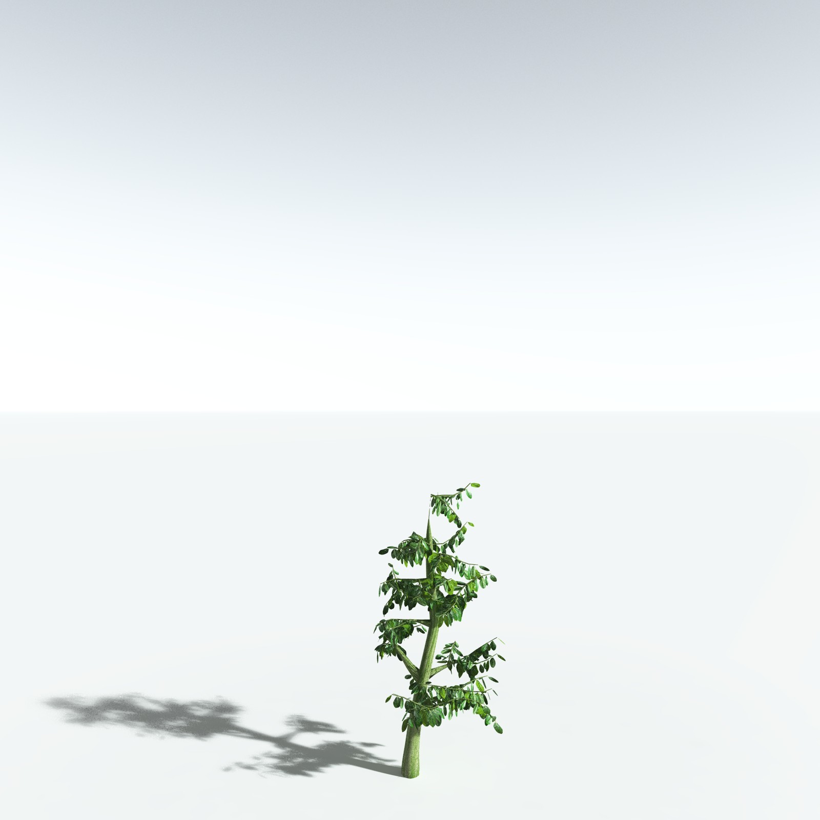 EVERYPlant Spur Mahogany for Vue by N/A