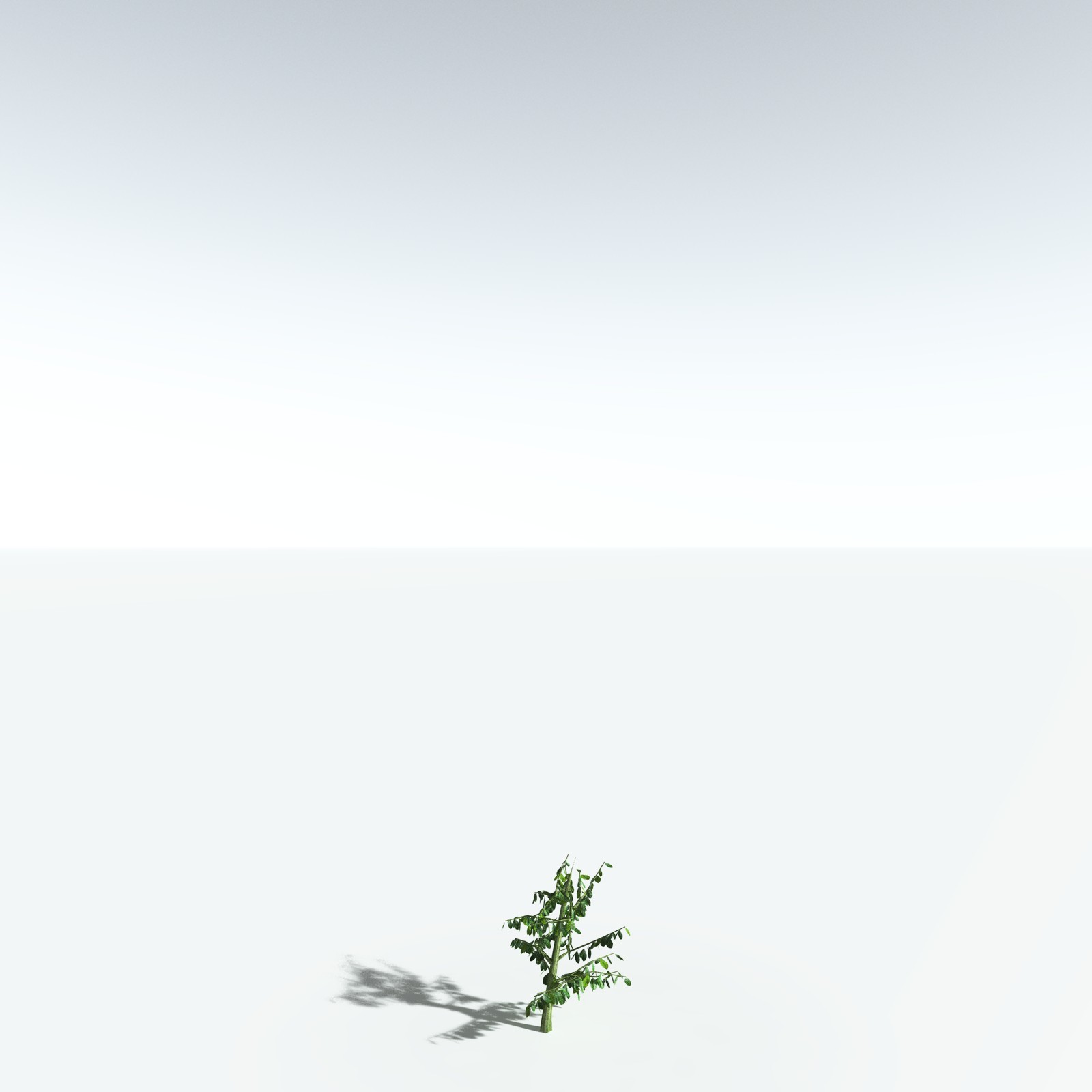 EVERYPlant Spur Mahogany for Vue by N/A