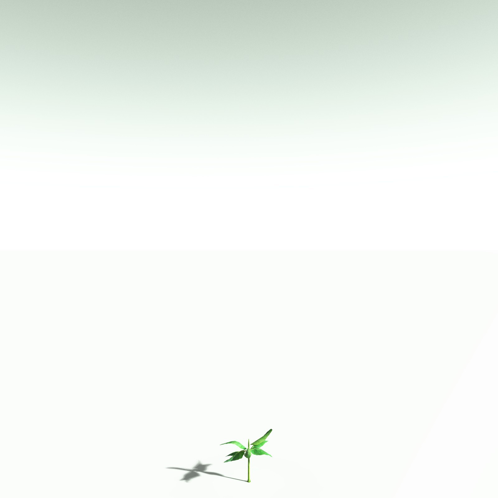 EVERYPlant Banana Plant for Poser by N/A