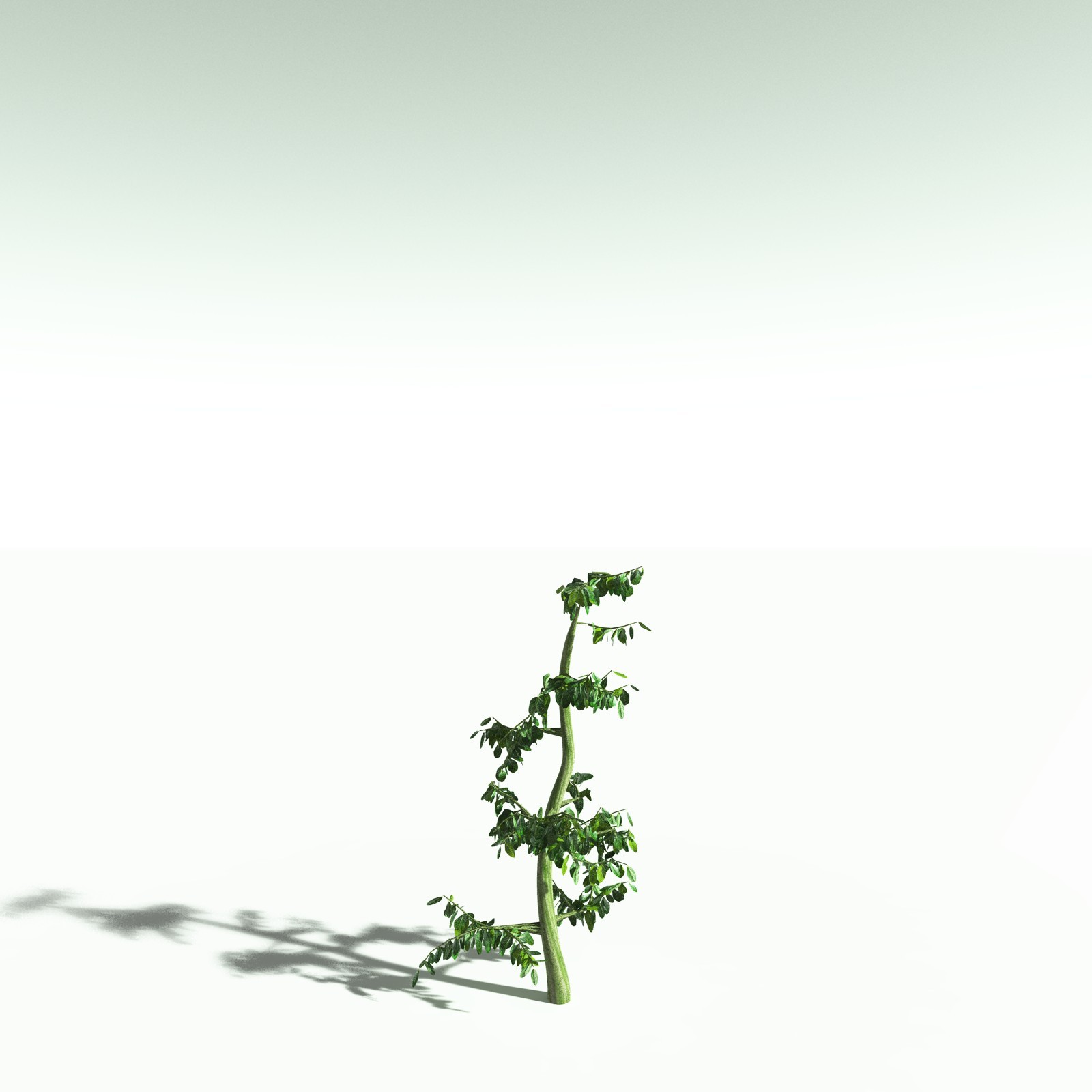 EVERYPlant Spur Mahogany for Poser by N/A