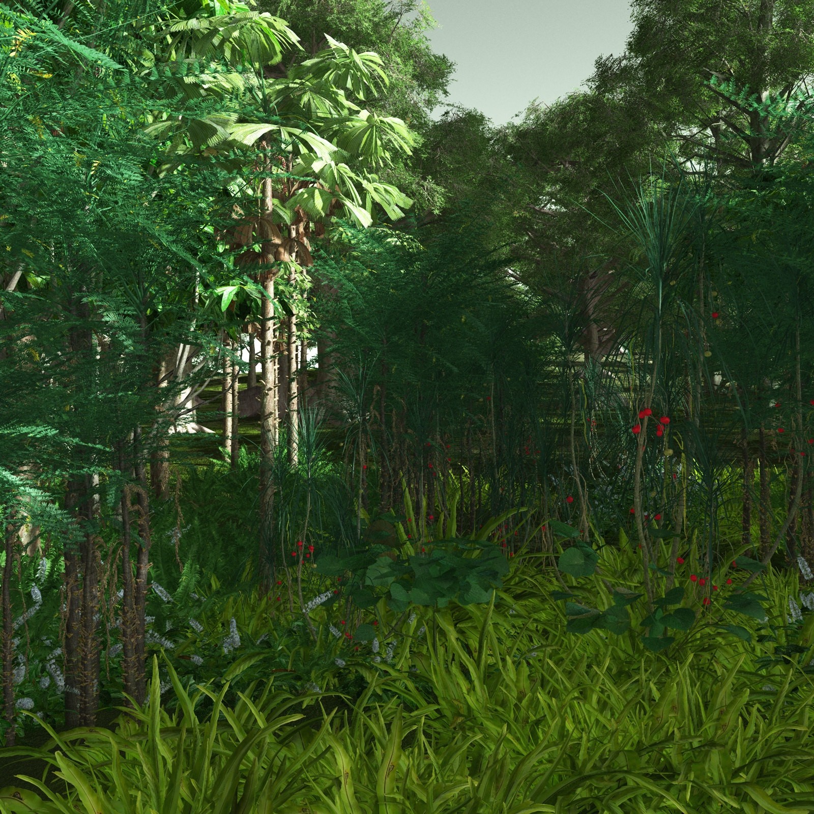 EVERYPlant Daintree Rainforest Biome for Poser by N/A