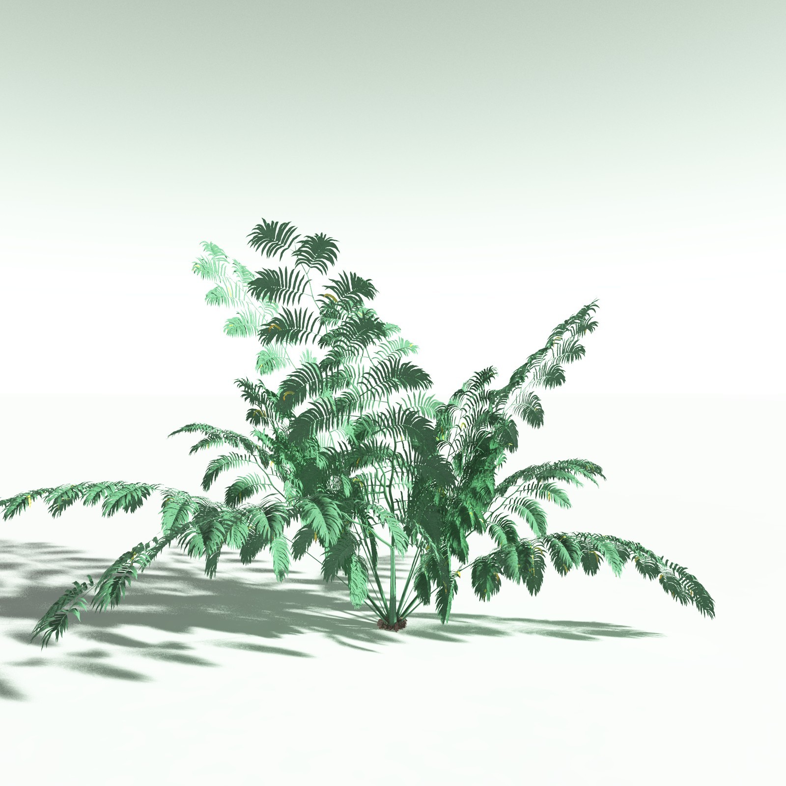 EVERYPlant Daintree Rainforest Biome for Poser by N/A