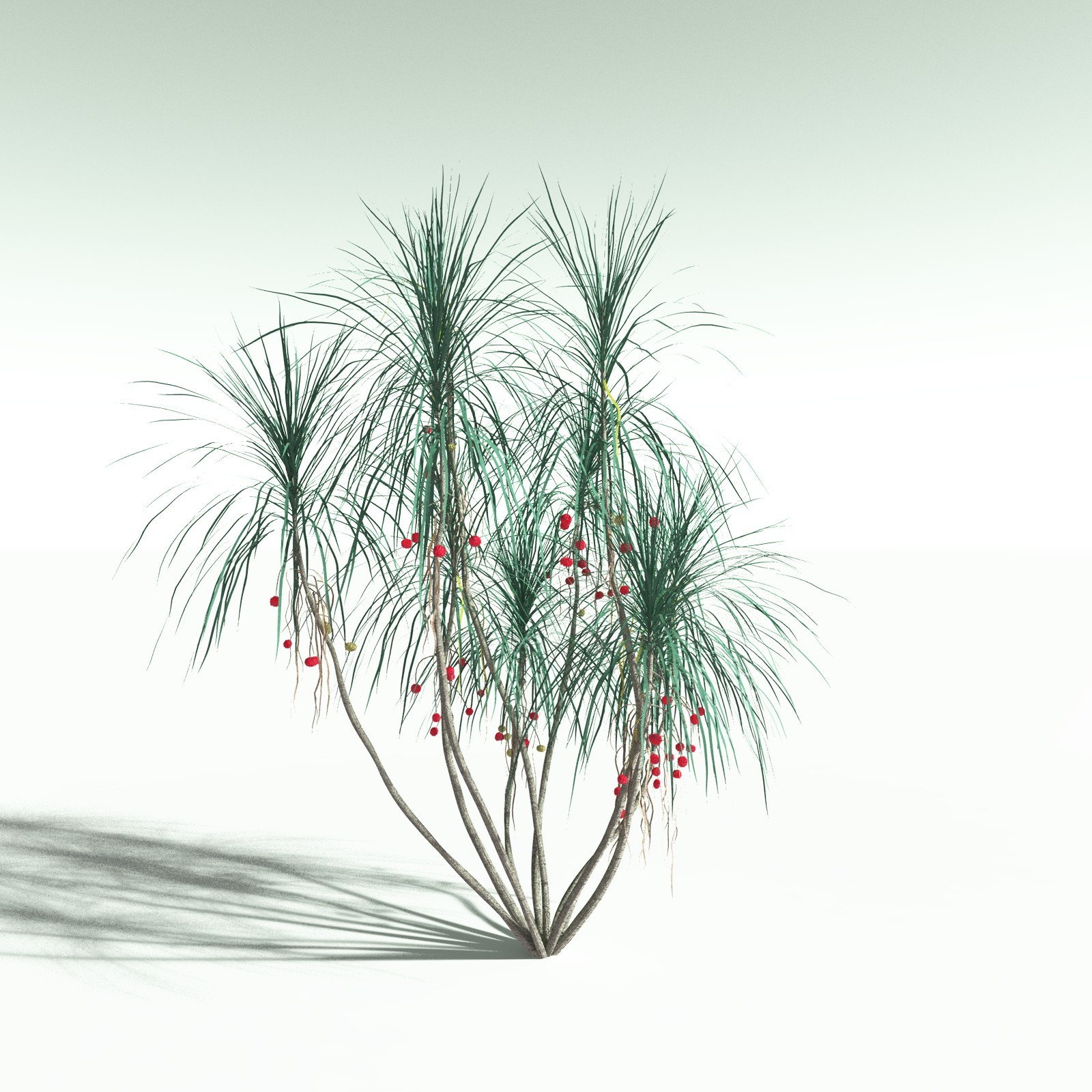 EVERYPlant Daintree Rainforest Biome for Poser by N/A
