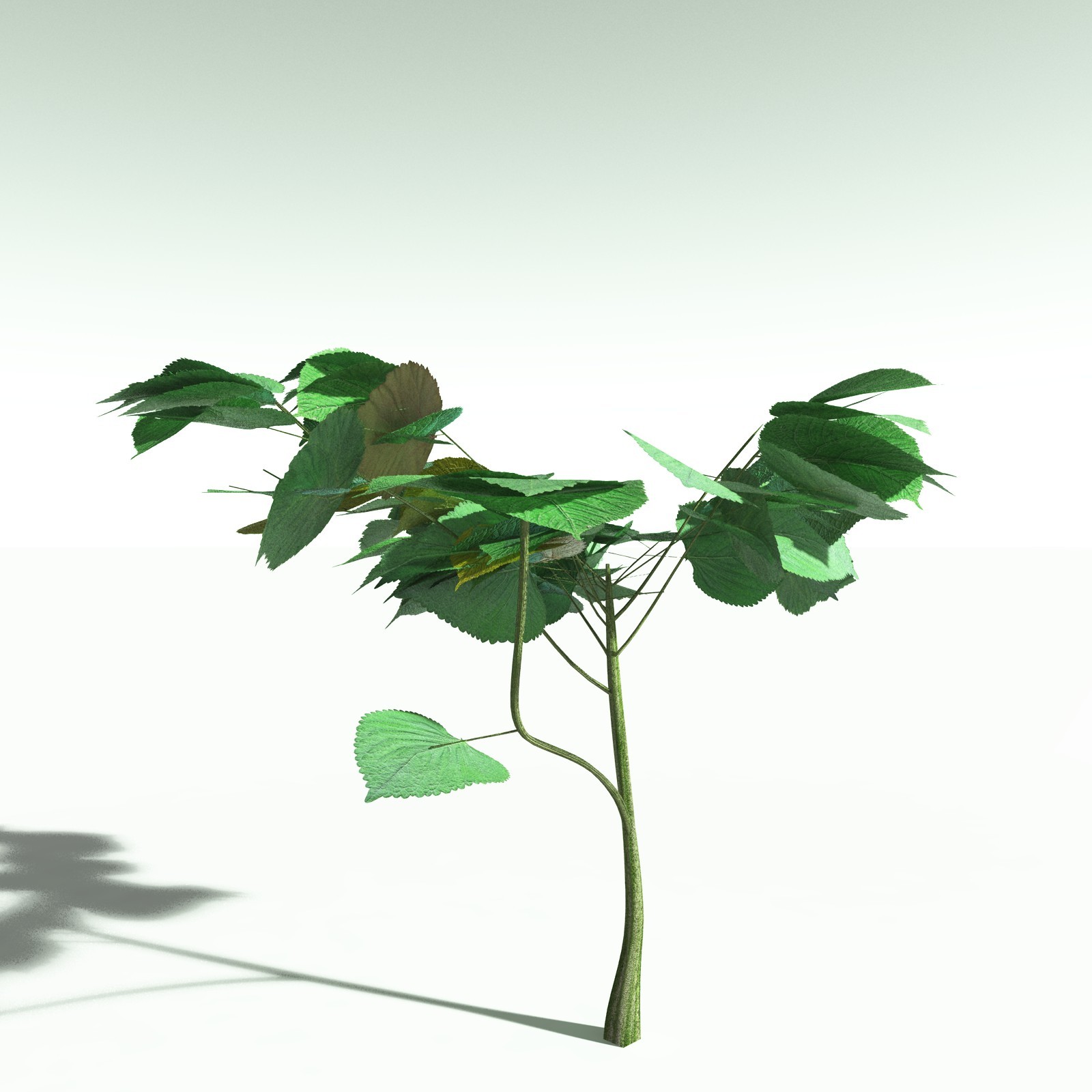 EVERYPlant Daintree Rainforest Biome for Poser by N/A