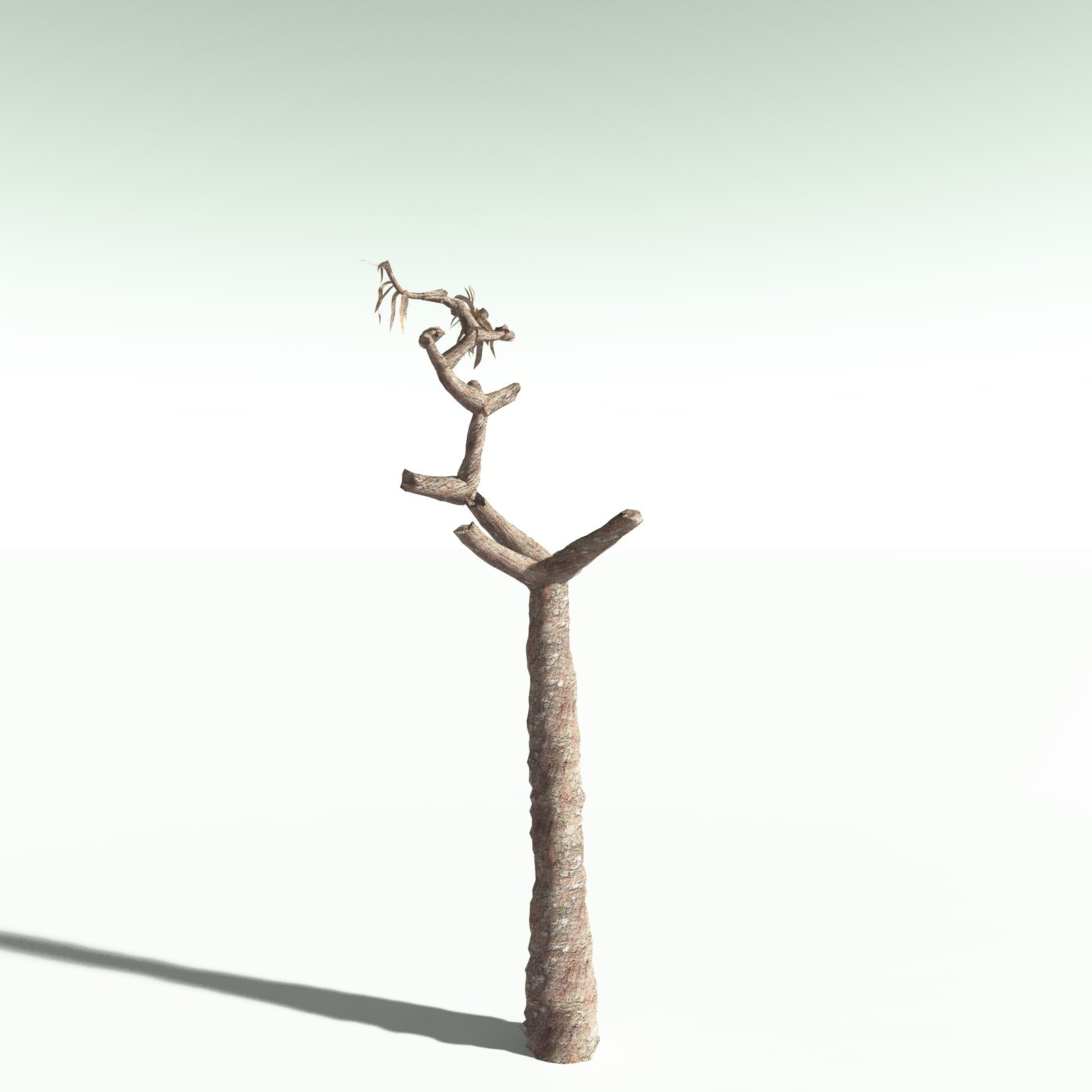 EVERYPlant Dragon Blood Tree for Poser by N/A