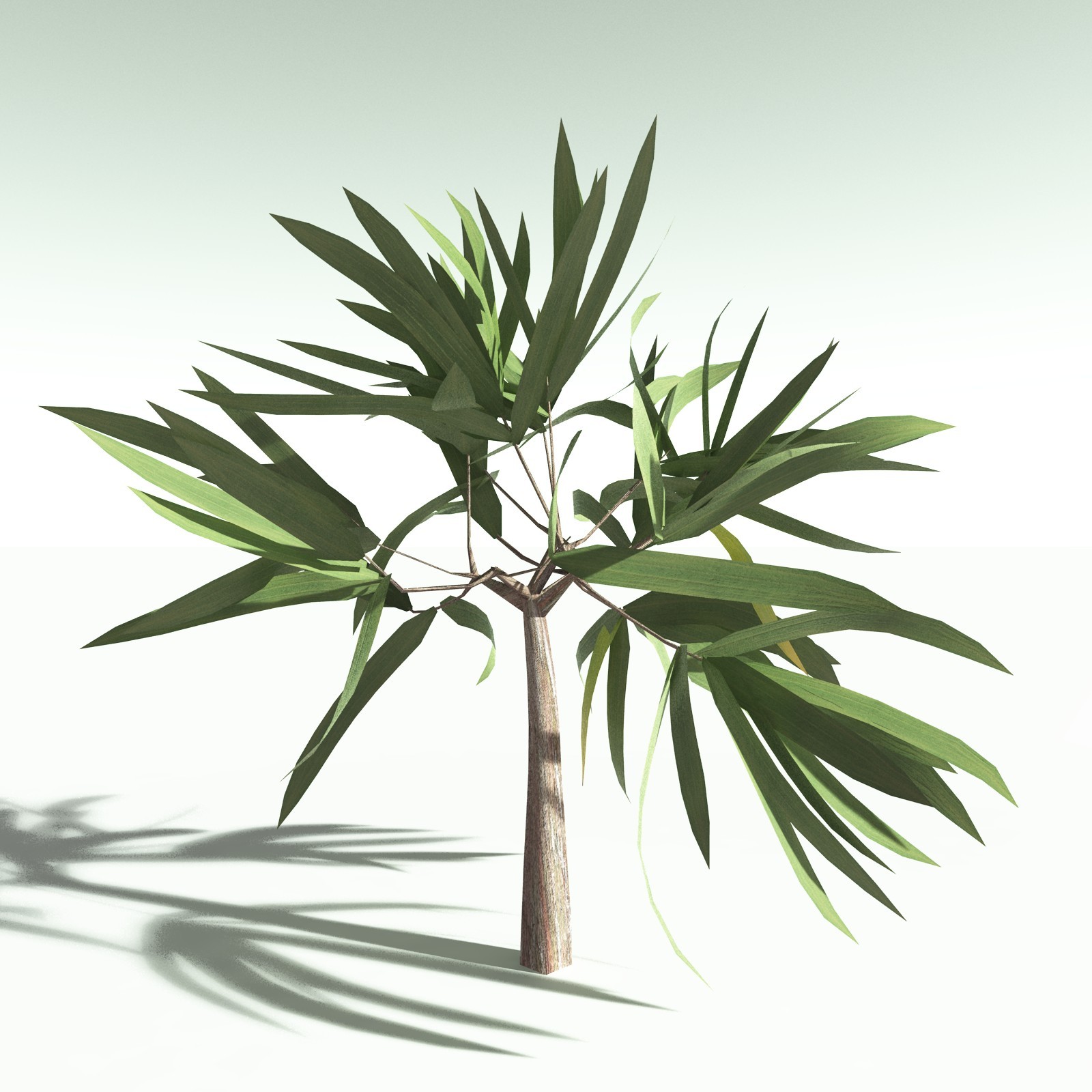 EVERYPlant Dragon Blood Tree for Poser by N/A