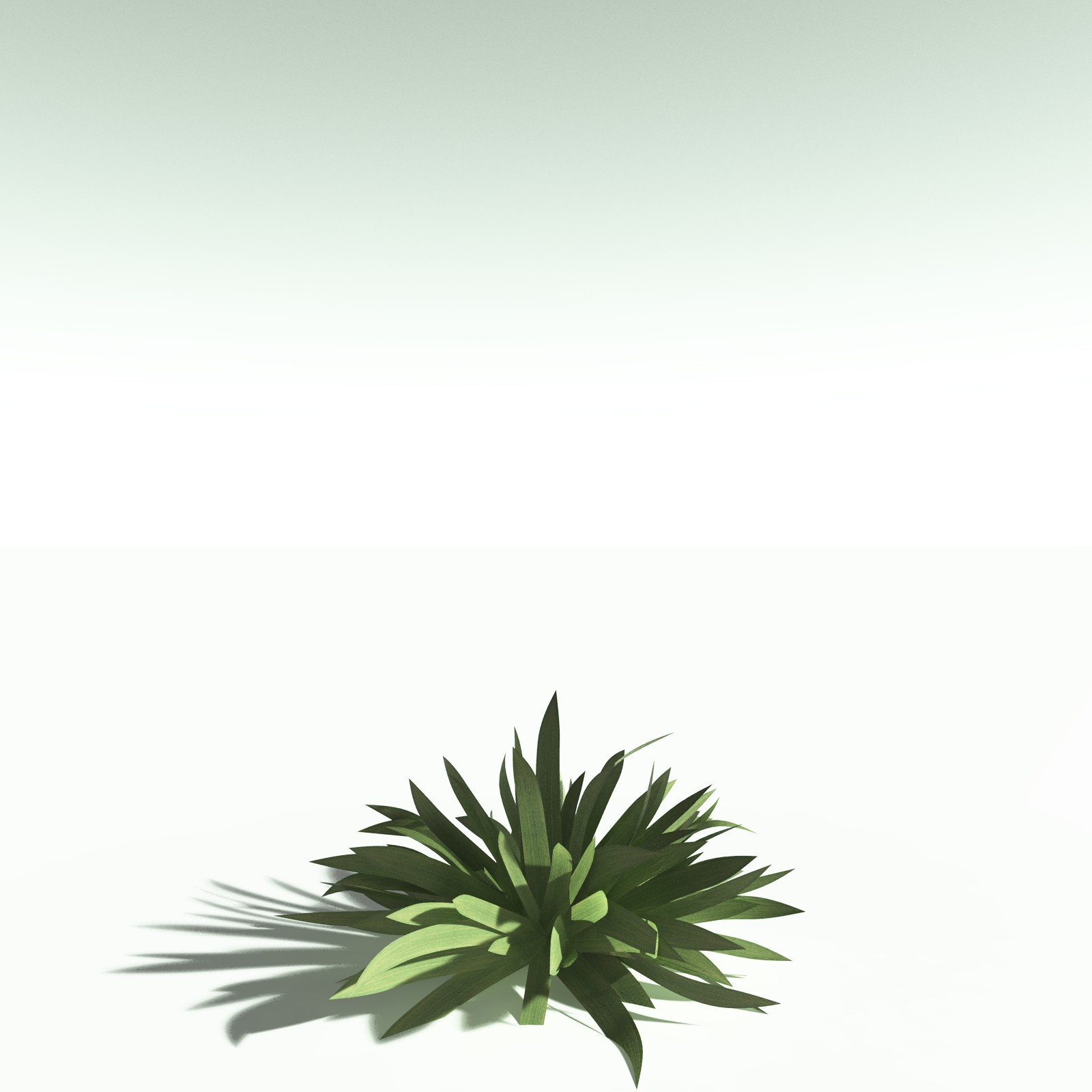 EVERYPlant Dragon Blood Tree for Poser by N/A