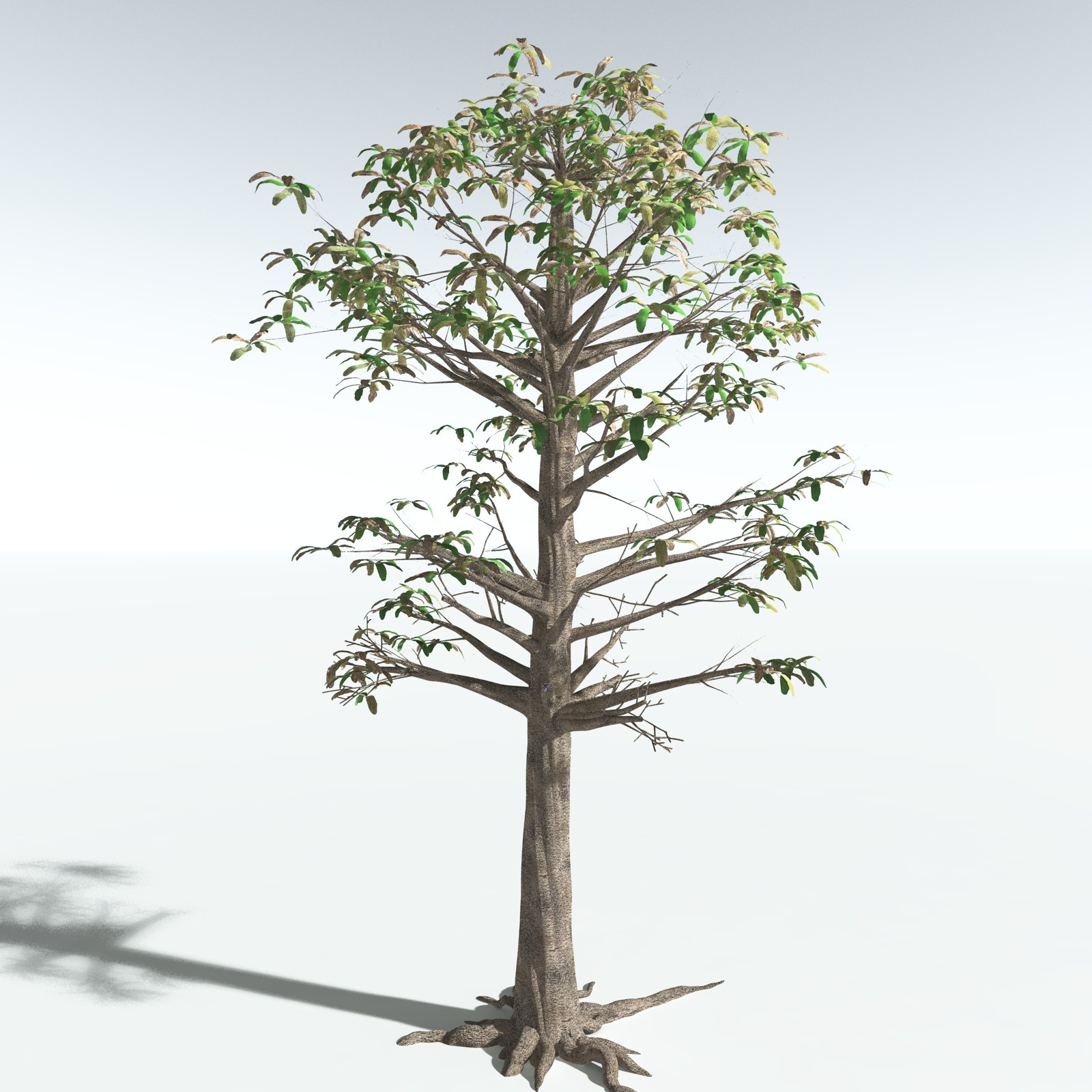 EVERYPlant Glossopteris Communis for Vue by N/A